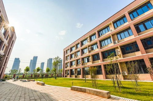 新學期 航空港區河東安置區兩所新學校投用