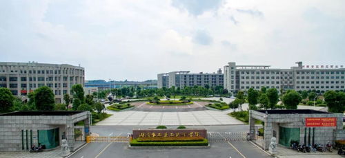 湖南食品藥品職業(yè)學(xué)院2020年提前招生進(jìn)行時(shí)