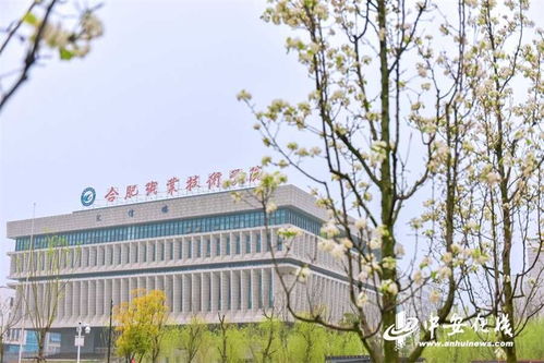 合肥職業(yè)技術(shù)學(xué)院 推行就業(yè)育人新模式服務(wù)地方經(jīng)濟(jì)發(fā)展