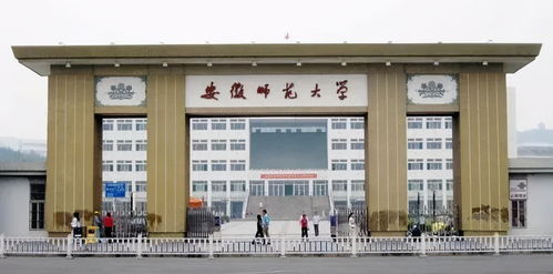 安徽師范大學,布局省會 或設立新校區