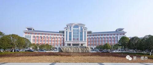 濱湖全面提速 今年新建15所學校 方興大道東延將今年開建