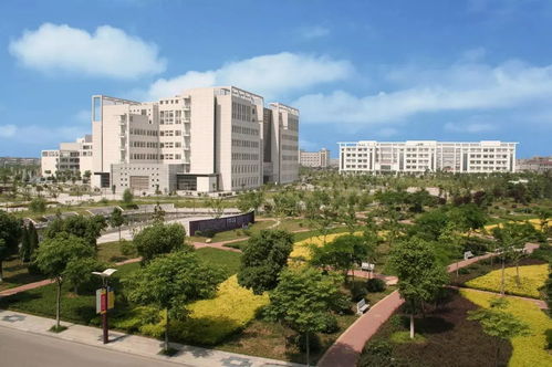 走得了t臺,也贏得了全國大賽,常州這所顏值逆天的學校驚喜超多