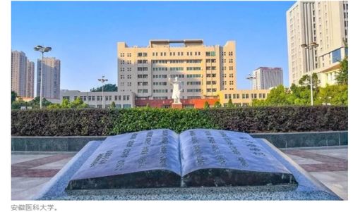 全球高校前1000名榜單 合肥有4所