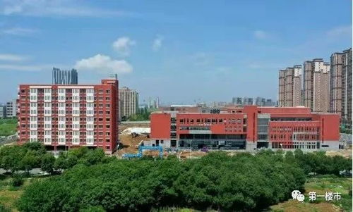 高新自貿區重磅 35大項目集中簽約 總金額達46億