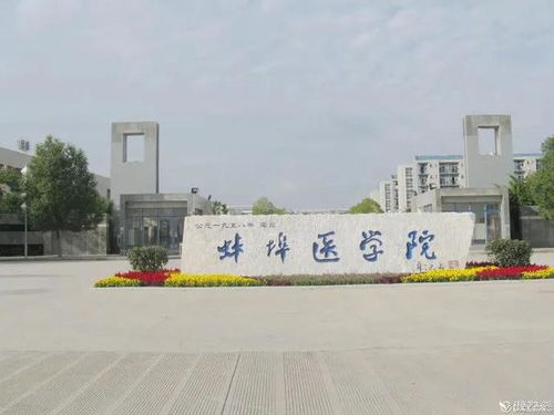 軟科中科大 合工大 安大排名暴跌,安徽高等教育咋了