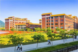 廣州珠江職業(yè)技術(shù)學(xué)院2019年人才引進(jìn)計(jì)劃