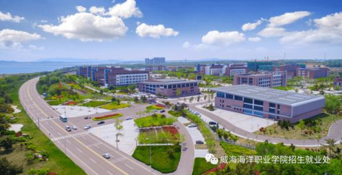 國(guó)有公辦全日制普通高等院校 威海海洋職業(yè)學(xué)院 以夢(mèng)為馬 不負(fù)韶華