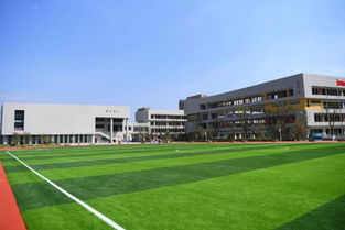 獨家探訪 新學期,包河投入使用的11所新校園,開啟逐夢新篇章