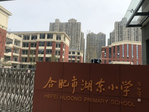 速看 合肥市教育局最新發(fā)布 事關(guān)開學(xué)