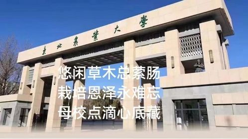 傳承東農(nóng)精神,鑄魂 食 代新人 食品學(xué)院2023年畢業(yè)季特色系列活動