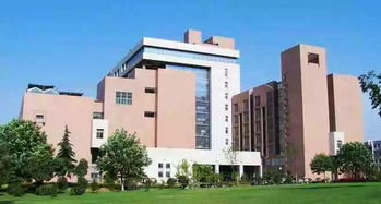 濃蔭深處,坐看風云