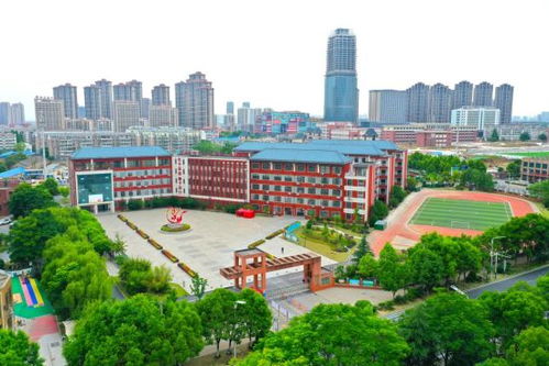 安徽肥西五所校園獲合肥市綠色學校稱號