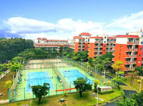 快看 泉州輕工學院2021年招生簡章來啦