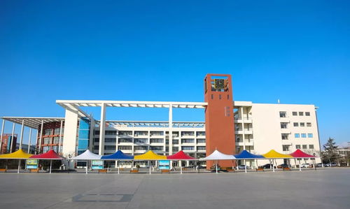 威海職業(yè)學(xué)院開(kāi)始招生了 3 2專(zhuān)本連讀成熱門(mén)