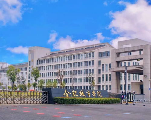 合肥城市學(xué)院公布2023年專升本考試招生簡章