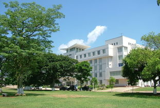 中國沿海十所最美的大學(xué)7539197 教育圖片庫 大視野