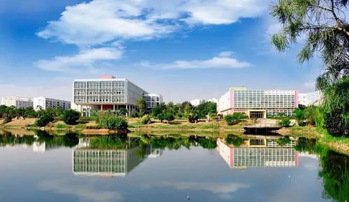 重磅 福建擬向教育部申報設置4所本科學校,泉州有2所入圍