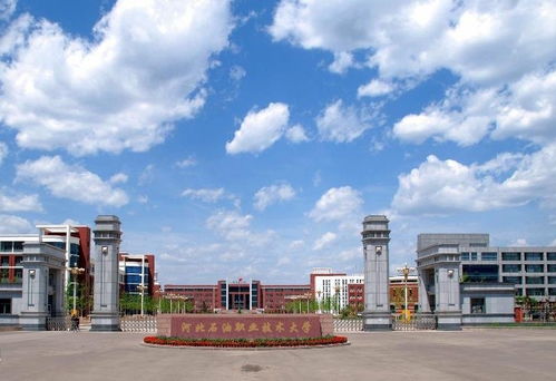 教育部拍板,河北新增1所公辦本科大學,校名卻讓本地人很不滿