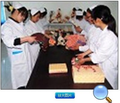 西安醫(yī)科護士學校