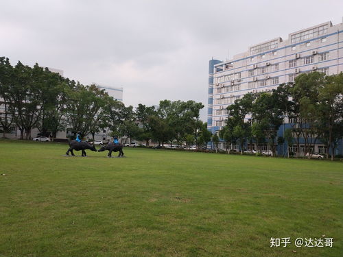 參觀深圳職業技術學院